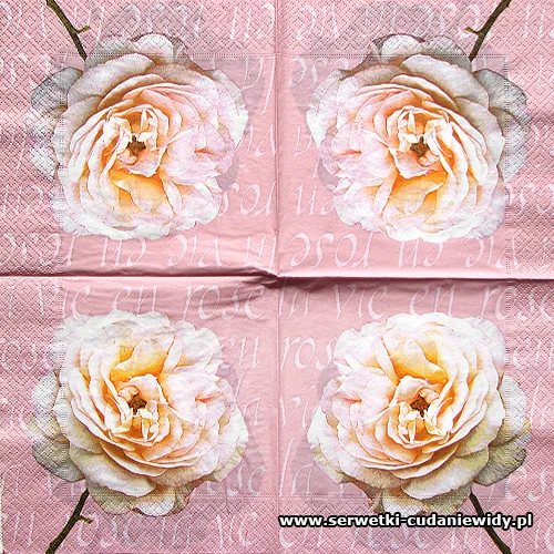 2374 Rose Portrait