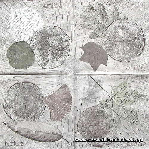 2434 Sentimental Nature