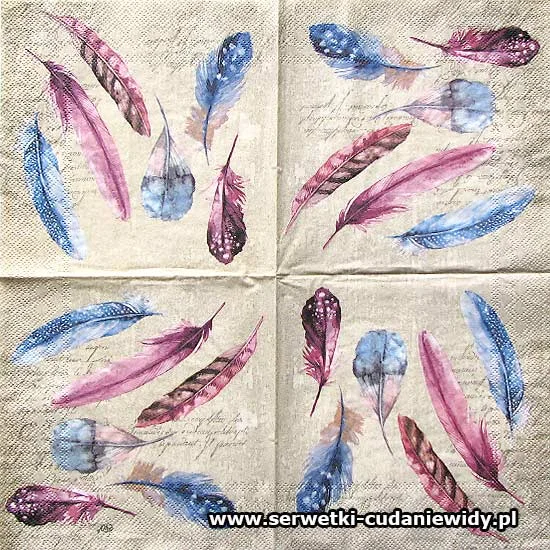 2458 Feathers