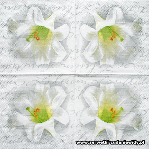 2481 Lilium Candidum