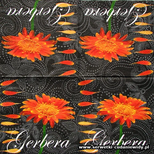 2488 Gerbera