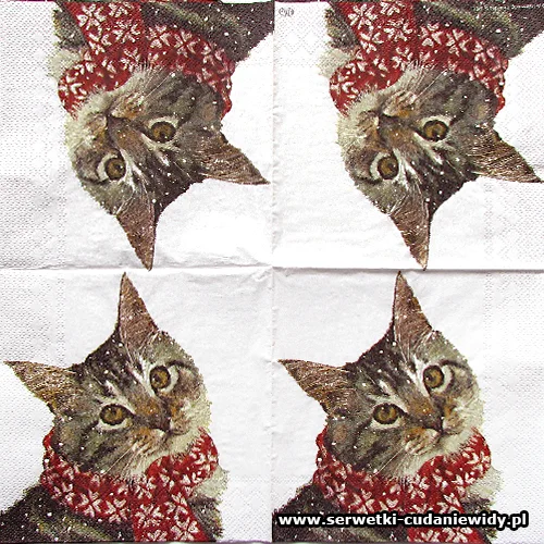 2513 Kitty