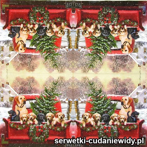 2540 Psia Wycieczka