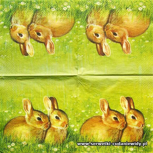 2596 Buny Friends