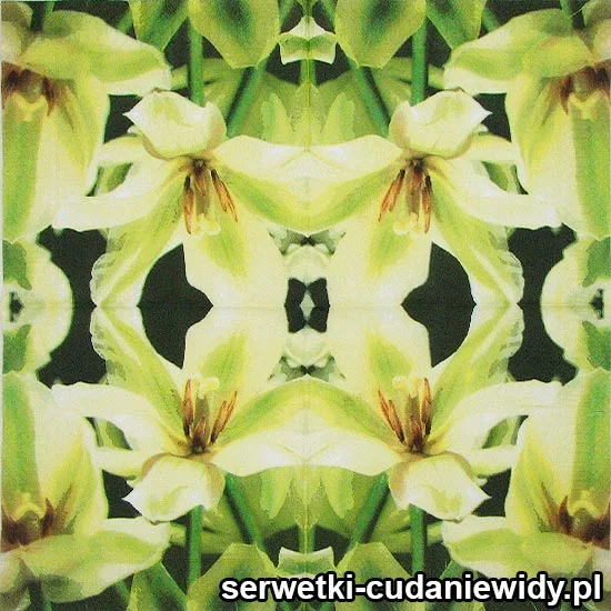 26001 Serwetki Dekoracyjne