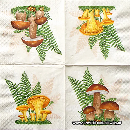 2682 Boletus With Leaves