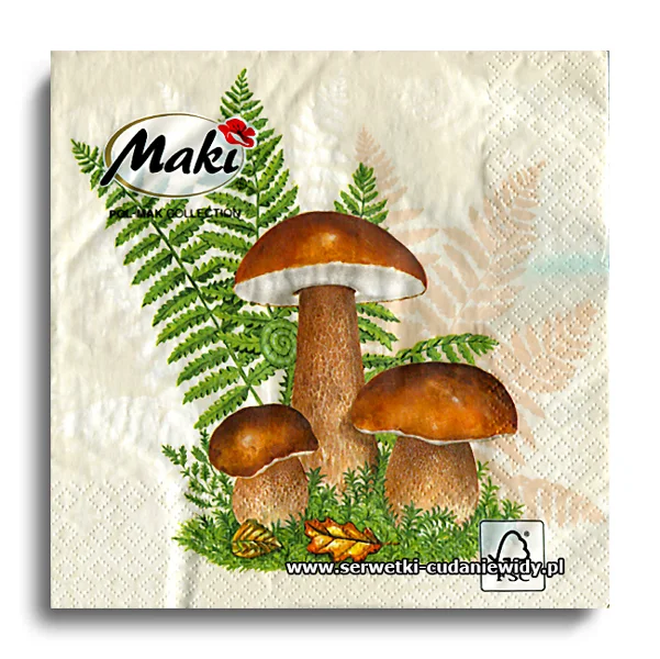 2682PACZKA Boletus With Leaves
