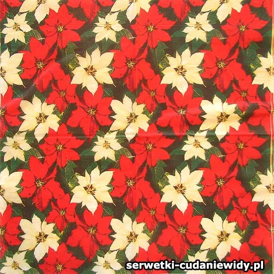 26956 Unikatowy Wzór