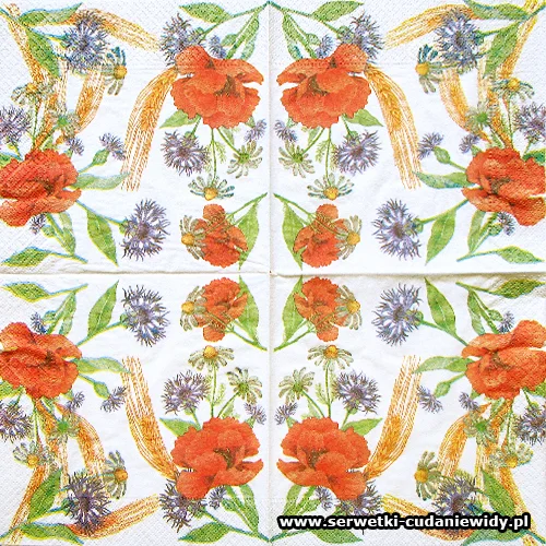 2704 Colourfull Field Flower