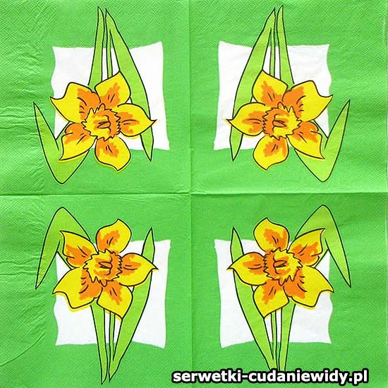 27123 Oryginalny Wzór