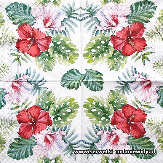 2716 Hibiscus Floral White