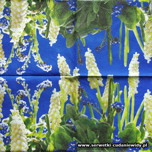 2720 Spring Blue