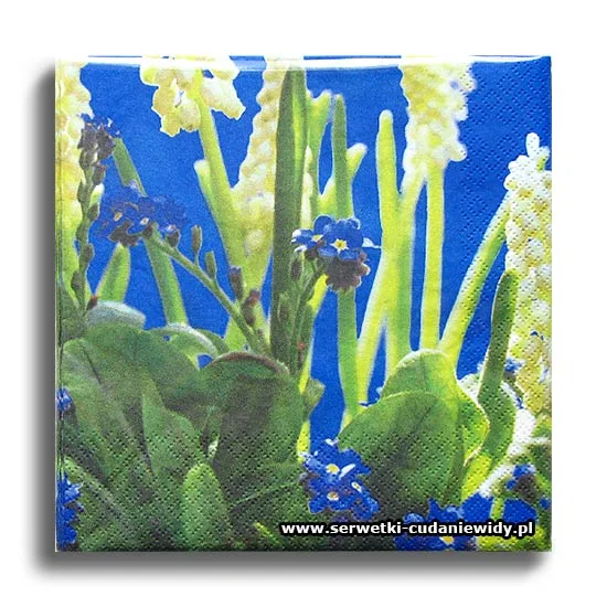 2720PACZKA Spring Blue