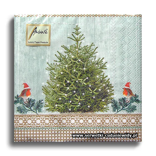 2737PACZKA Little Robins