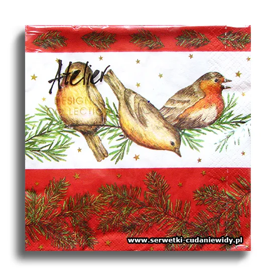 2739PACZKA Winter Birds