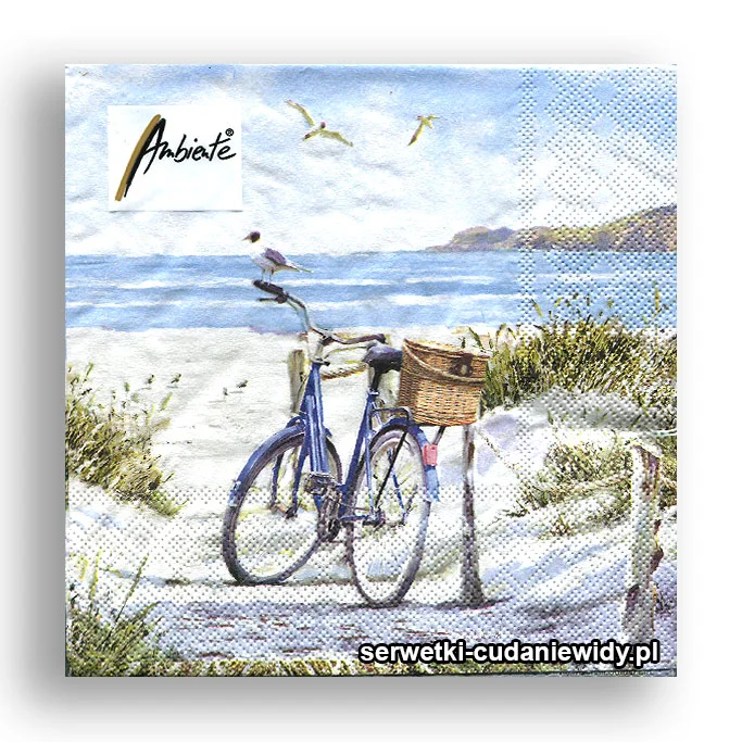 2809PACZKA Rower Przy Plaży