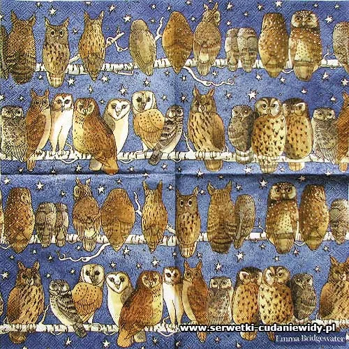 2822 Owls