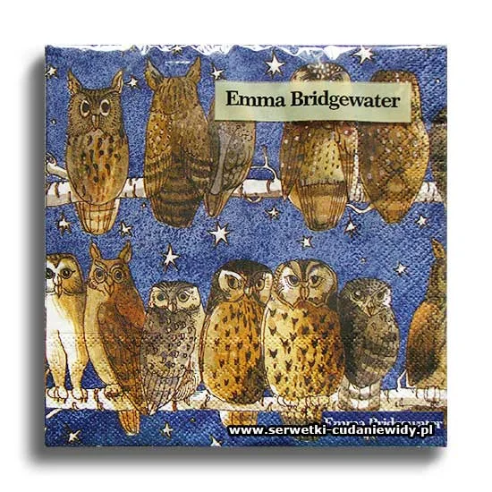 2822PACZKA Owls