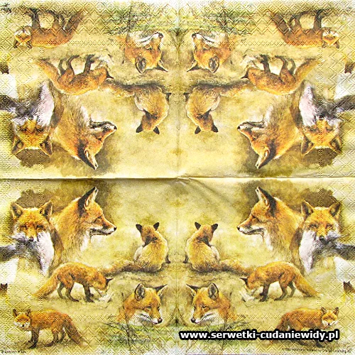2824 Portrait Of Foxes