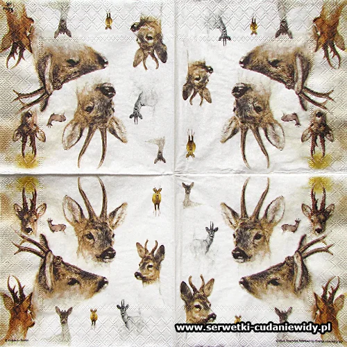 2825 Portraits Of Deer