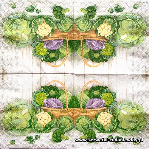 2826 Cabbage