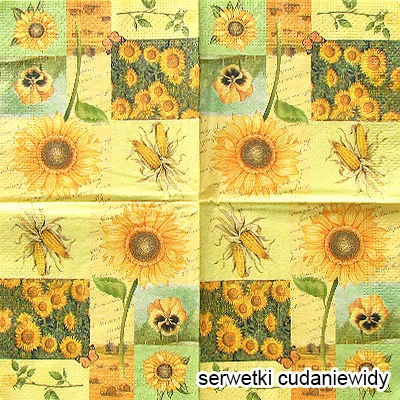 2876 Obrúsky Decoupage