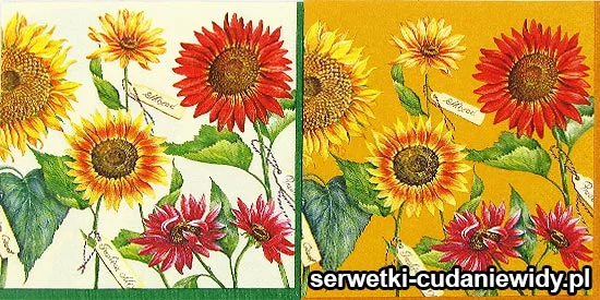 29014KPL Komplet 2 Serwetek Z Serii