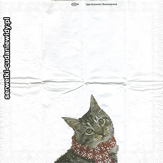 2933 Kitty