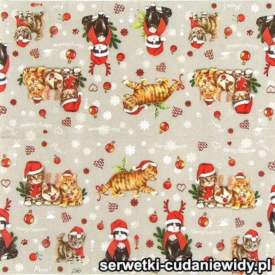 2979 Koty Mikołajowe