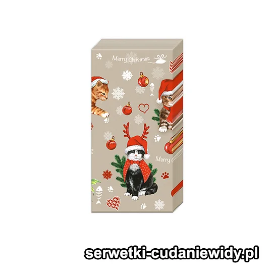 2979PACZKA Koty Zimowe