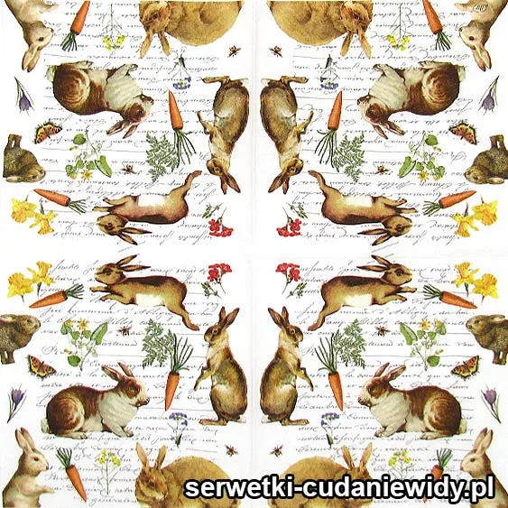 2995 Zające I Marchewki