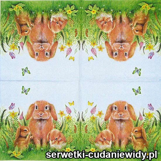 3008 Zajęcza Rodzinka