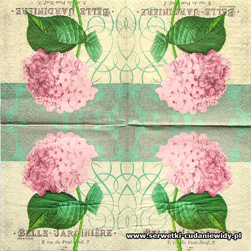 3048 Belle Hydrangea