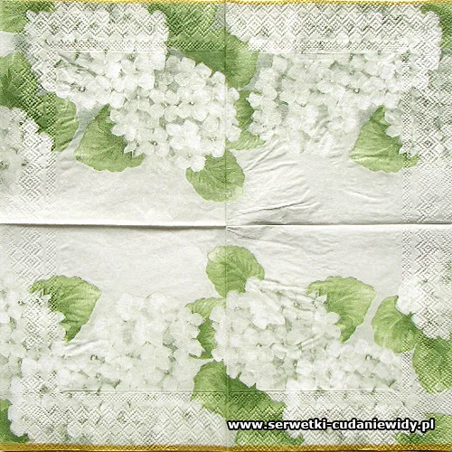 3083 Hortensia White
