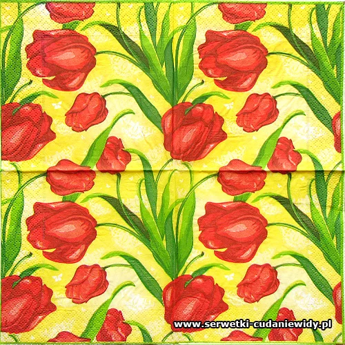 3085 Tulips