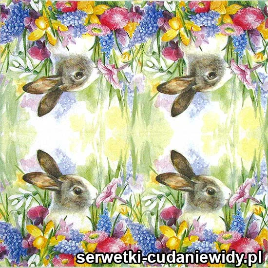 3109 Zając Wiosennych Kwiatów