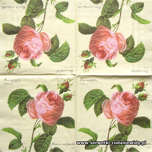 3115 Rosa Rosa