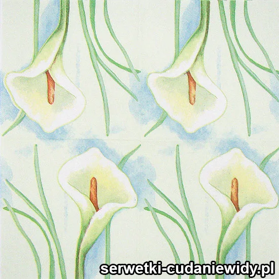 31178 Unikalne Serwetki