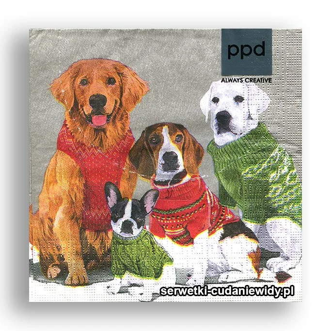 3139PACZKA Psy W Sweterkach