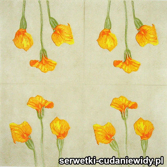 31452 Unikalne Serwetki