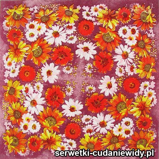 31459 Unikalne Serwetki