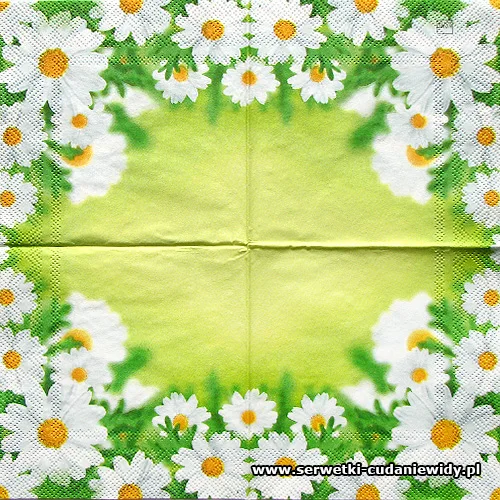 3173 White Daisies