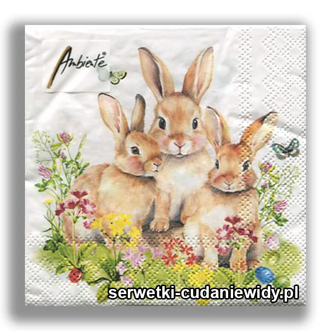 3181PACZKA Zajęcza Rodzina