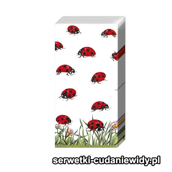 3187PACZKA Biedronki Na Łące