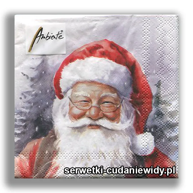 3219PACZKA Wesoły Mikołaj