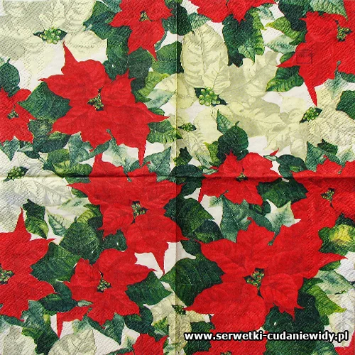 32500 Euphorbia Pulcherrima