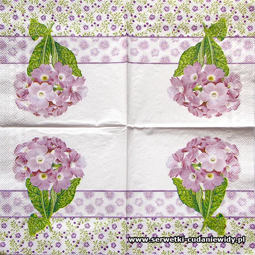 3253 Primula Lilac