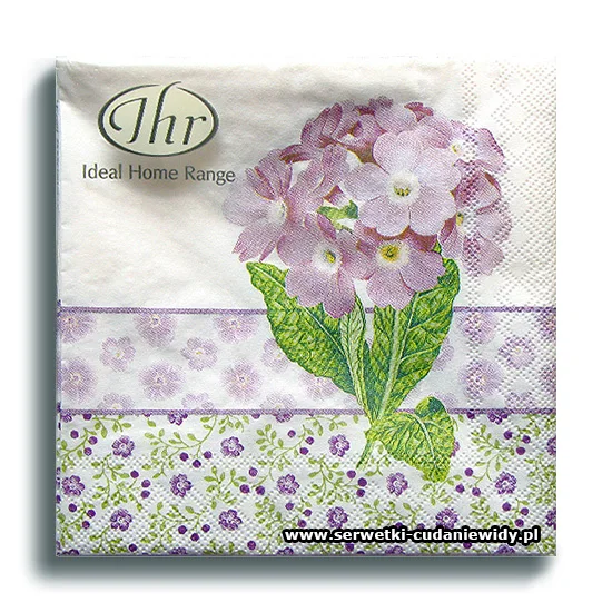 3253PACZKA Primula Lilac