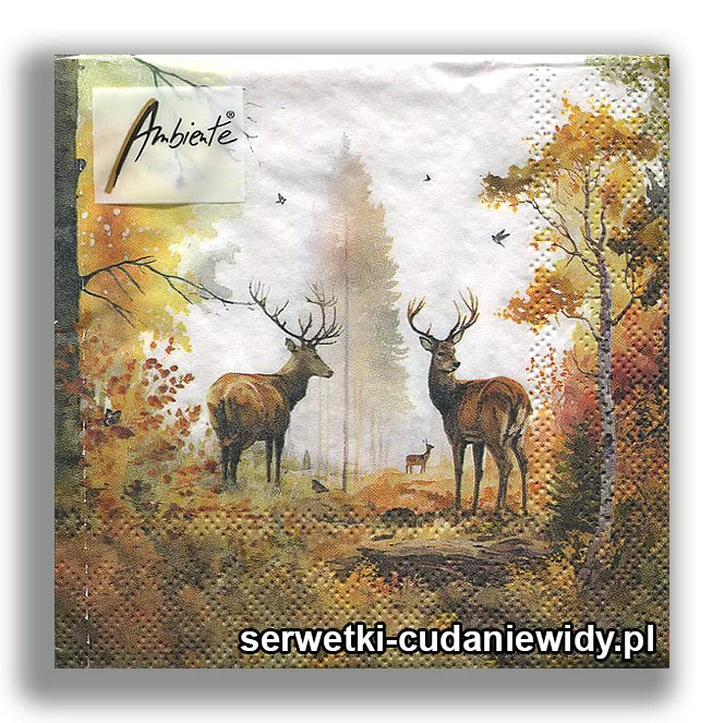 3263PACZKA Jesienne Jelenia