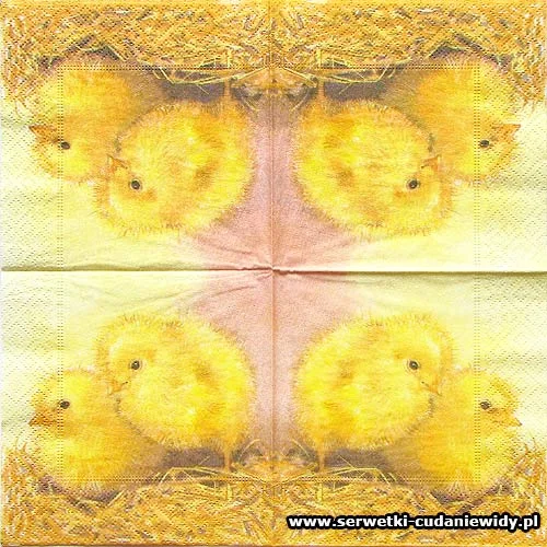 3283 Two Chicks